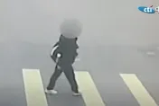 靜宜女大生為愛加入緬甸詐團！自首被遣返大陸坐月子候審「男友恐判槍斃」