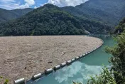 霧社水庫現大量漂流木　台電全力清除需時逾1個月