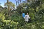 快訊/上班出門卻反常！萬丹鄉公所主任失聯　高屏溪草叢尋獲遺體