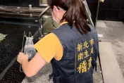 快訊/泳池食腦變形蟲案　衛生局追蹤600位民眾均無腦膜炎疑似症狀！