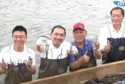 影/侯友宜赴屏東「採檸檬又撈蝦」！喊一定幫農民打開大陸市場