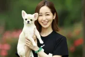 被指杜拜賣身沉迷牛郎！翹臀女優發文嗆「因果報應」　波多野結衣留言：有時候...