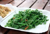 龍鬚菜超營養！可改善脂肪肝、預防癌症　專家：「2禁忌」要注意