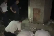 扯！遺體沒火化骨灰先出爐　殯儀館「弄錯了」連夜赴墓地磕頭挖墳