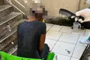 女街友頭皮遭蛆啃食！蟲蟲大軍「咬住一塊大洞」還見頭骨　醫師：送精神科