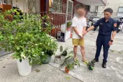 影/颱風夜下手四星飯店！台北竊賊搭小黃被攔　偷「枕頭套」辯想改風水