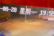 影/鬼遮眼？苗栗「無煞車」追尾撞擊聯結車　男女爆頭噴血、身體變形！畫面曝