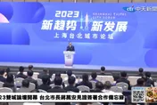 雙城論壇踩線團受阻　藍營：對台灣整體局勢並非有利