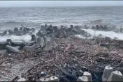 海葵颱風/海葵15級強陣風襲台東　「漂流木海」現富岡漁港外海...震撼畫面曝