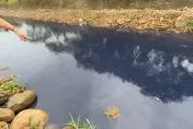 影/心痛！湖口德盛溪原生魚種全死光　竟是「潤泰歇業廠」溢漏釀禍