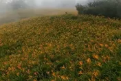 海葵颱風/赤科山路斷又停電　百人受困、農損單日破百萬