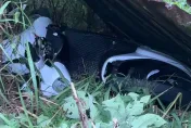 影/無照騎車死亡事故！苗栗西湖2男騎車出遊　他悲見好友自撞電線桿「零件四散」殞命