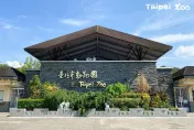 台北動物園擬4月調漲「全票60元→100元」　全網力挺：收2倍價都算佛