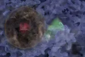 天文學家發現首個星系泡泡　直徑10億光年比銀河系寬1萬倍