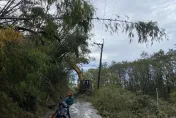 海葵過後台電稱「全台皆復電」　台東民眾怒斥騙人：1週沒電沒水