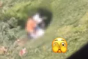好害羞！情侶檔暢快呈現「熱情的草坪」打野戰戲碼　連房仲賣車業務攏來啊
