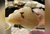 他吃港式飲茶「蝦餃黏3隻蟑螂」！副理嗆：打折了還想怎樣　網：不是第一次