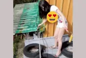 貓毛變綠…她「擅爬別戶屋頂」刷油漆救浪浪！　網見辣照嗨翻：彭小姐是對的