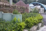 太恐怖了！北市碧湖國小午餐藏「金屬針管」　學童險吞下肚…團膳業者挨罰