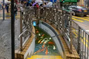 影/暴雨襲港地下公廁積水未退　神人P圖錦鯉惡搞…網笑：500年一遇美景