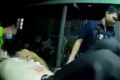 影/姊弟戀變流血衝突！花蓮女酒後被男友扁　表哥抄水果刀「勸架」卻砍人