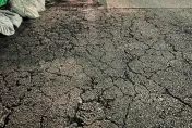 南港建案驚見路面龜裂　建商曝原因「大型車進出輾壓」：並非地層下陷