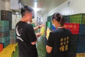 快訊／新北衛生局查「4家蛋品加工廠」！兩家加工廠缺部分進口報單資料