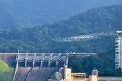 影/罕見奇景！石門水庫萬鳥遷徙如「白龍盤旋山谷」　還會變換隊形