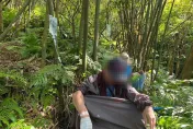 新北瑞芳11名登山客遭虎頭蜂螯傷　動保處授4招自保守則