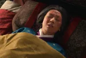 《羋月傳》同款殺人蜂！劇中要害死羋月兒！古代人早就知避免虎頭蜂叮咬：別穿顏色鮮艷有香氣衣服