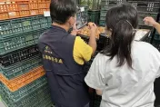 離譜！進口混蛋標國產　農業部3度道歉：已展開調查「該懲處就懲處」