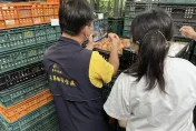 真是混蛋！巴西蛋偽裝台灣蛋　台中2液蛋場負責人「列被告」後請回
