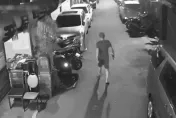 影/浪貓遭空氣槍亂射哀號躲車底　板橋惡劣男辯「驅趕」下場出爐