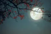 中秋開運小撇步！往東北方向散步賞月　最旺桃花和財運