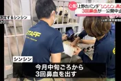 影/旅日大貓熊「真真」一個月流三次鼻血　血壓偏高暫停見客養病