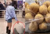影/不是長蟲！用水果「偷渡」49隻活體昆蟲被逮　網友嘲：蛋白質超標了