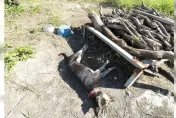 恆春比丘尼虐狗！拴木堆活活曬死　寺方不演了：都是過去的事