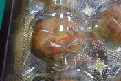 拾金不昧「無主月餅」堆警局！螞蟻大軍、快過期　警苦笑：很應景