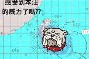 小犬颱風/苗栗颳大風！消防局哏圖「感受到本汪的威力了嗎？」　籲及早防颱