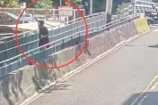 影/北市街頭持木棍揮舞追擊路人　男子到案辯稱「心情不好」