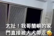 小犬颱風/家門直接被「咬」走！小犬變身地獄三頭犬肆虐蘭嶼　慘變「透天厝」民眾嚇歪