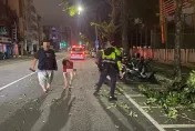 小犬颱風/強風釀禍！高雄路樹樹枝遭颳落　砸中雙載機車2人傷