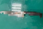 汐止女半夜擾鄰遭制止　情緒失控持刀傷母、14歲妹也濺血