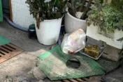 曾穿紅衣中市府鬧輕生！60歲婦中彰投8處縱火釀5傷　檢求處重刑