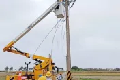 小犬甩尾揚「鹽塵」釀5天停電　嘉義4萬戶居民全數復電