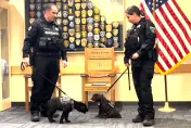 影/警犬隊新成員菜味十足　就職典禮上直接睡死融化網友