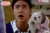 《命中注定我愛你》萌犬「紀寶貝」16歲過世　導演：算喜喪