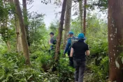 影/虎頭蜂「從地上冒出來」！苗栗42人攀「神仙縱走」遭攻擊　8人被螫傷