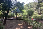 快訊/老兄太神了！街友手指被砍斷還繼續睡　樹林警急追兇