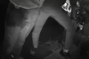 影/嚇到尿褲子！高雄18歲車手面交想騙20萬　警突現身嚇壞他